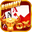 rummy pride logo